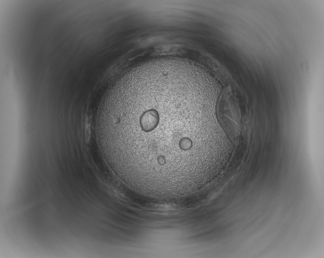 X0000116110741200911301122