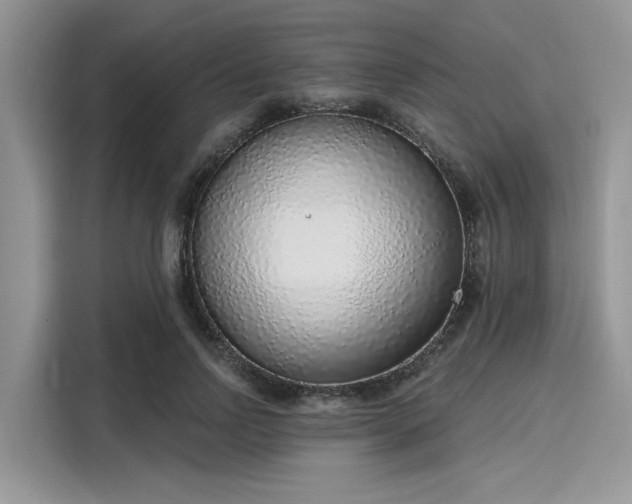 X0000116110742200911301122