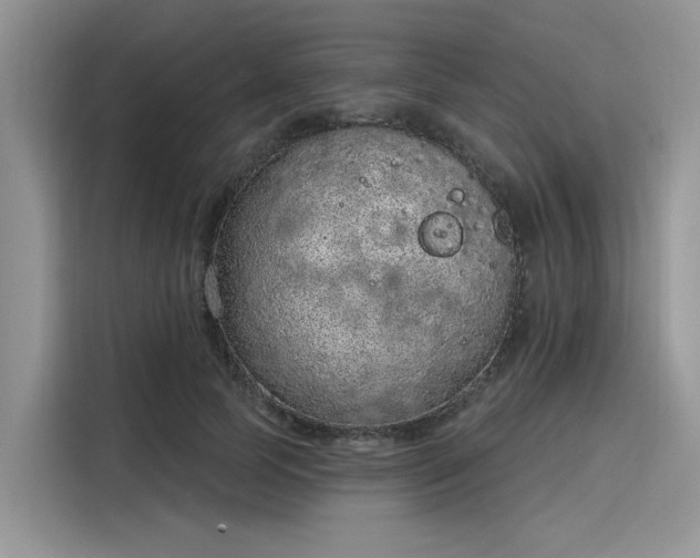 X0000116110745200911301122