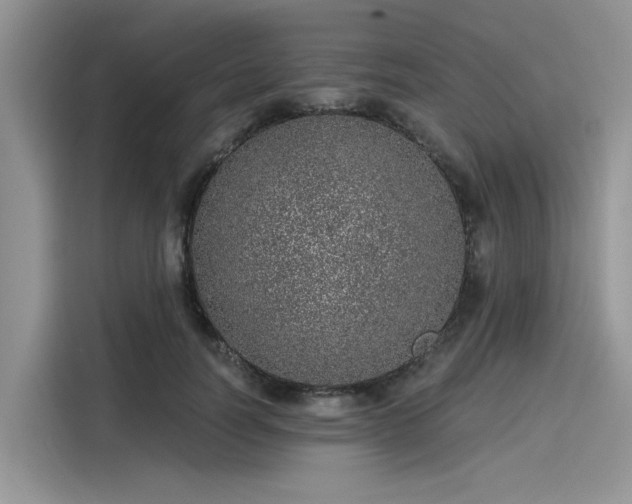 X0000116110746200911301122