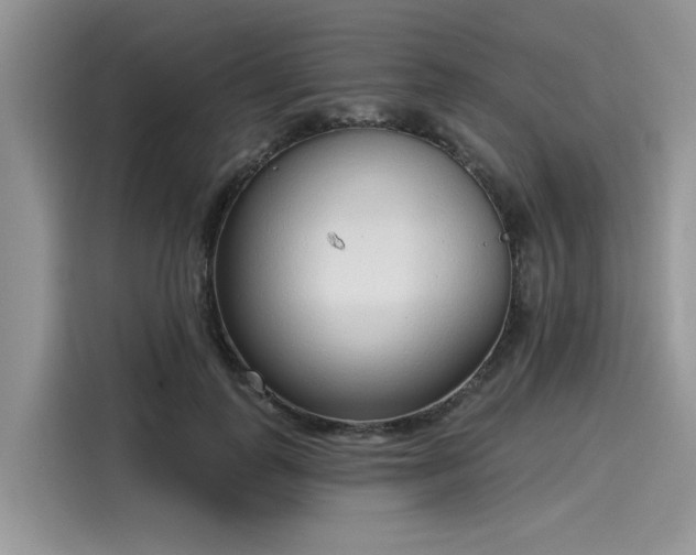 X0000116110747200911301122