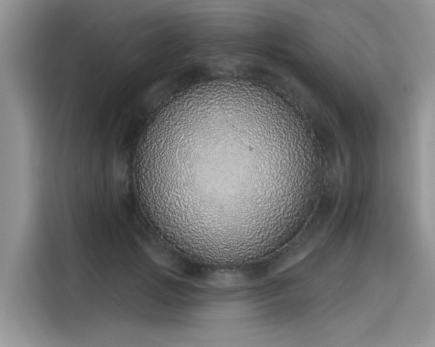 X0000116110749200911301122