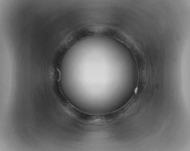 X0000116110750200911301122