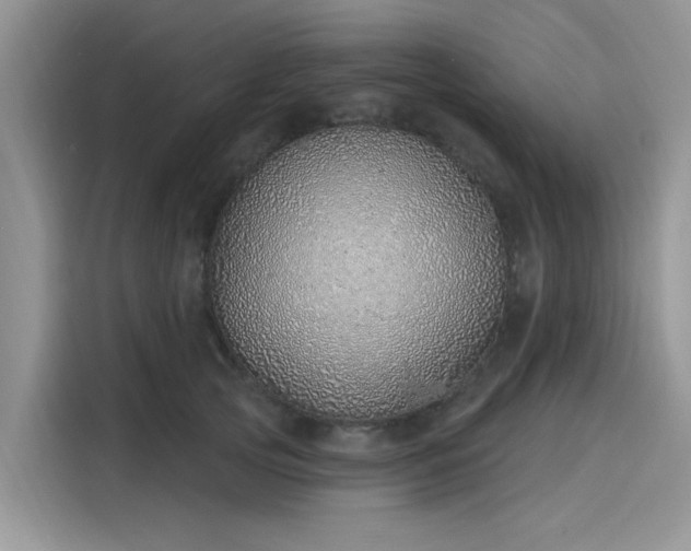 X0000116110753200911301122