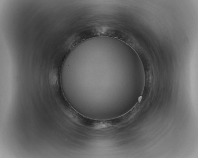 X0000116110754200911301123