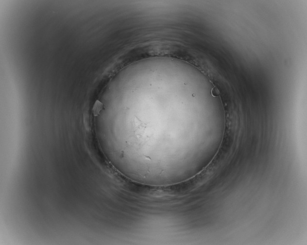 X0000116110755200911301123