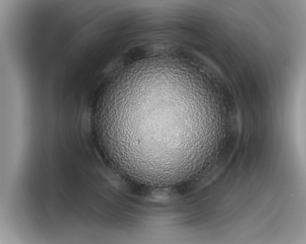 X0000116110757200911301123