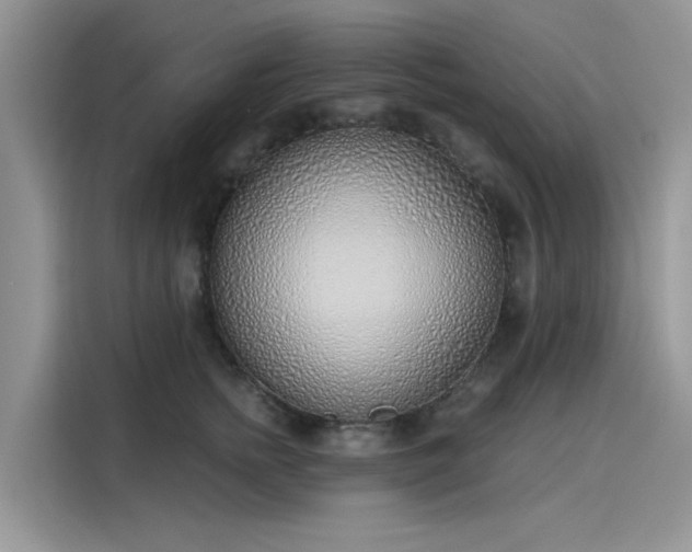 X0000116110758200911301123