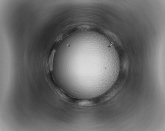 X0000116110759200911301123