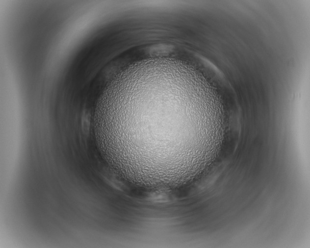 X0000116110761200911301123