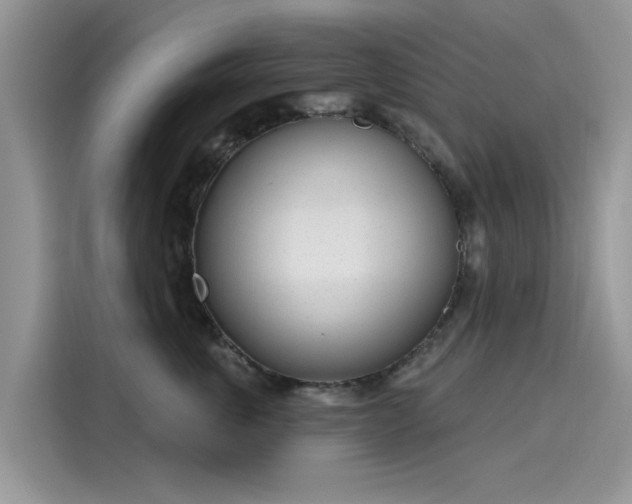 X0000116110763200911301123