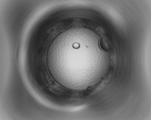 X0000116110765200911301123