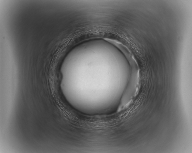 X0000116110769200911301122