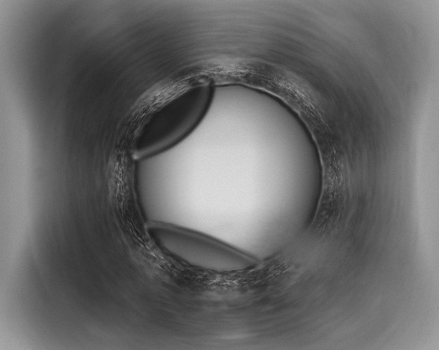 X0000116110773200911301122