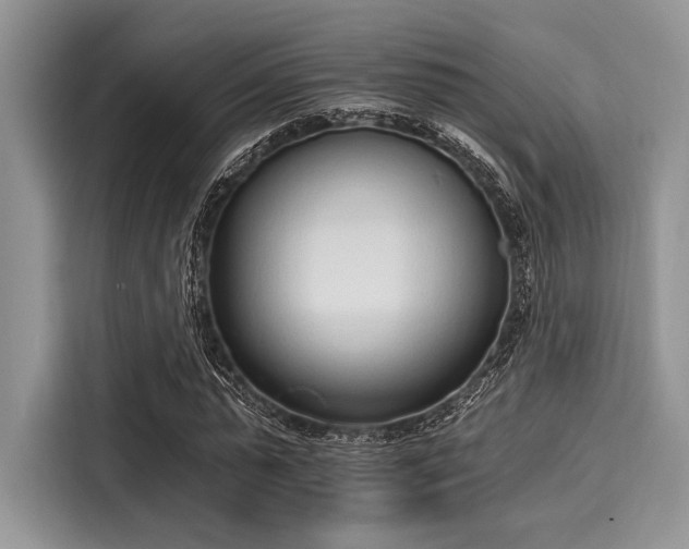 X0000116110775200911301122