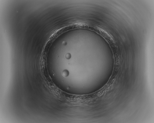 X0000116110776200911301122