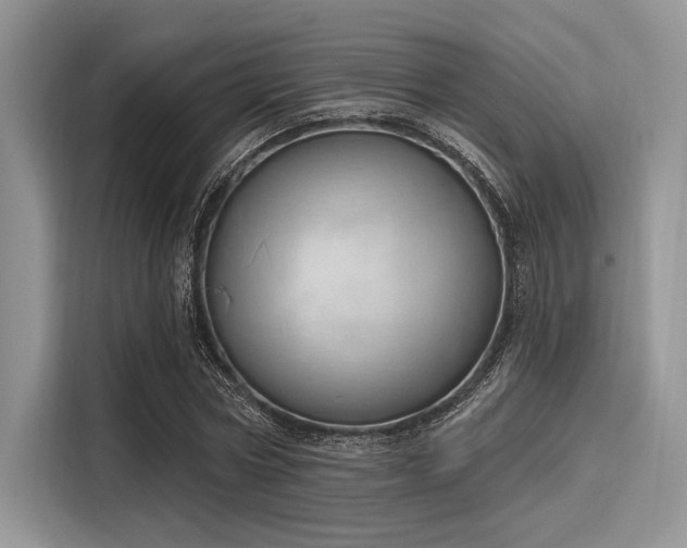 X0000116110778200911301122