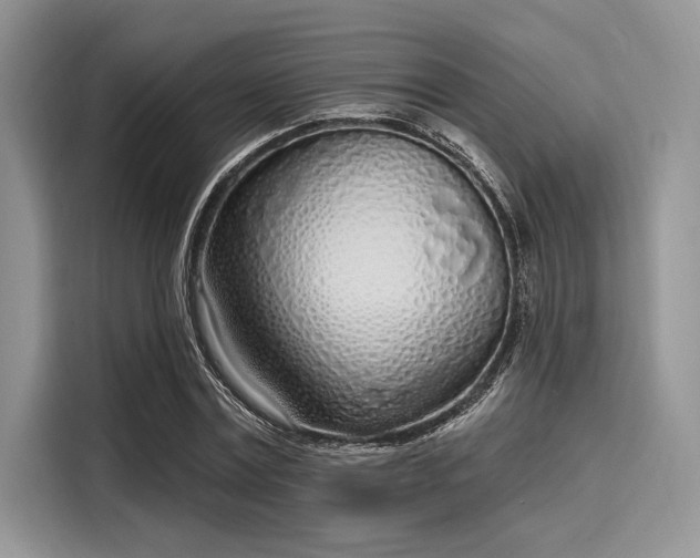 X0000116110779200911301122