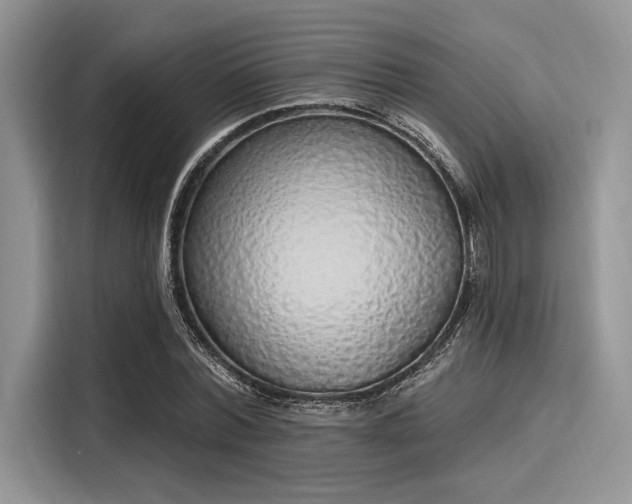 X0000116110780200911301122