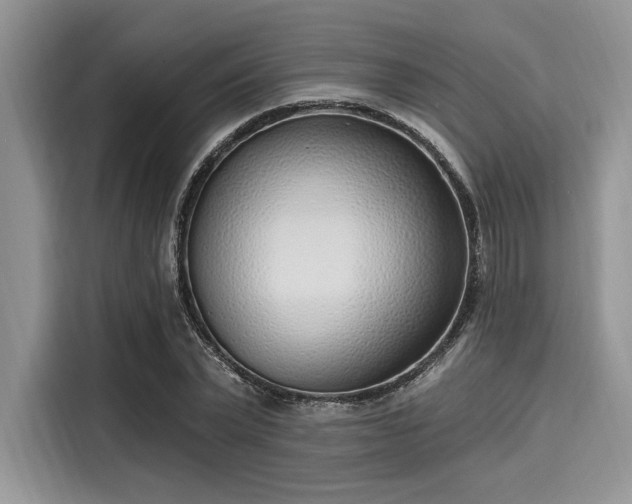 X0000116110783200911301122