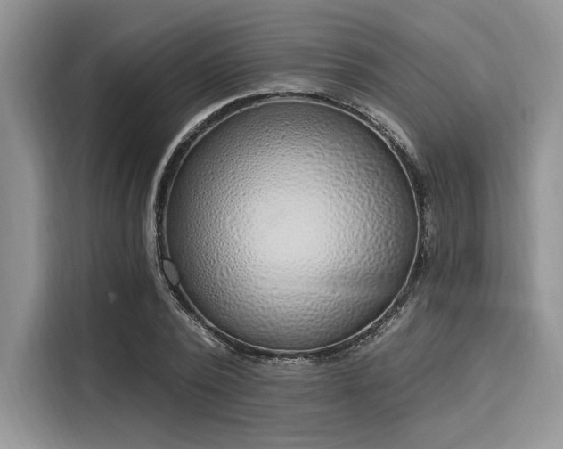 X0000116110784200911301122