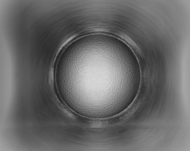 X0000116110790200911301122