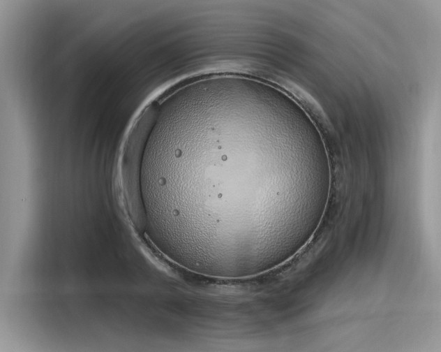 X0000116110792200911301122