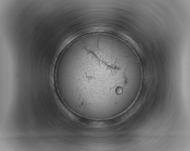 X0000116110794200911301122