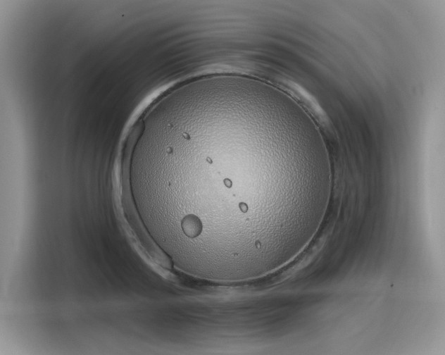 X0000116110796200911301122