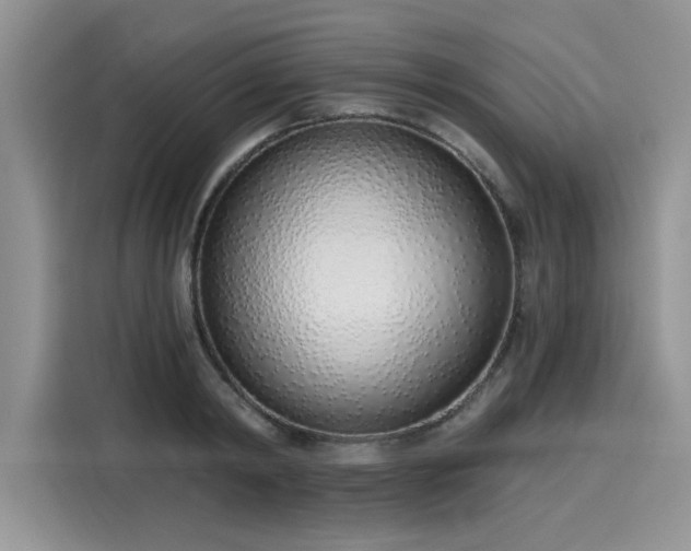 X0000116110798200911301122