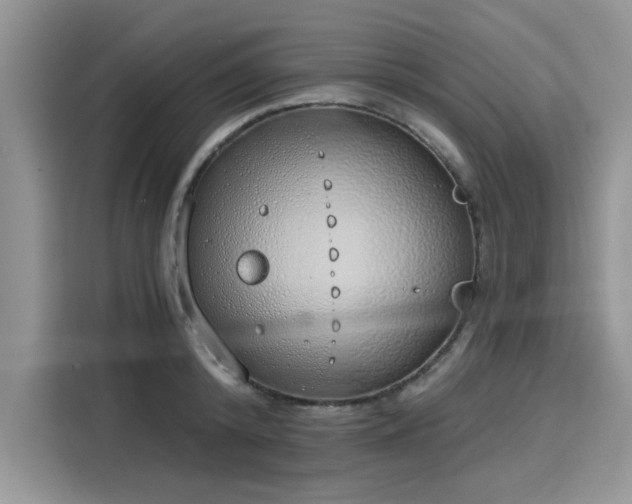 X0000116110800200911301122