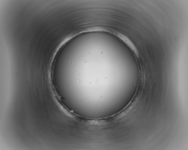 X0000116110805200911301122