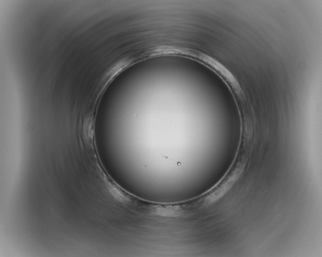 X0000116110809200911301122