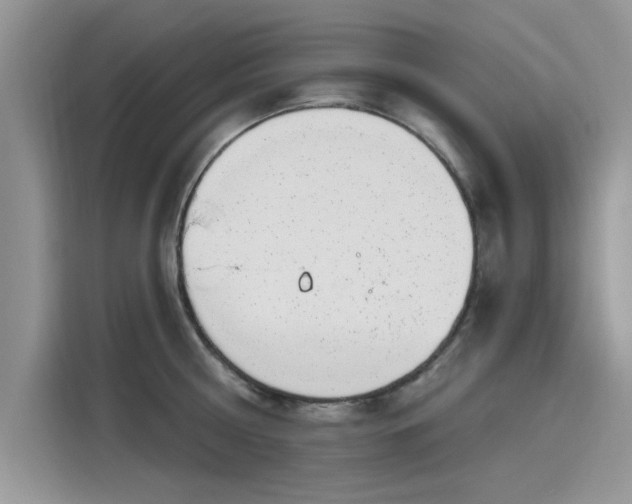 X0000116110810200911301122