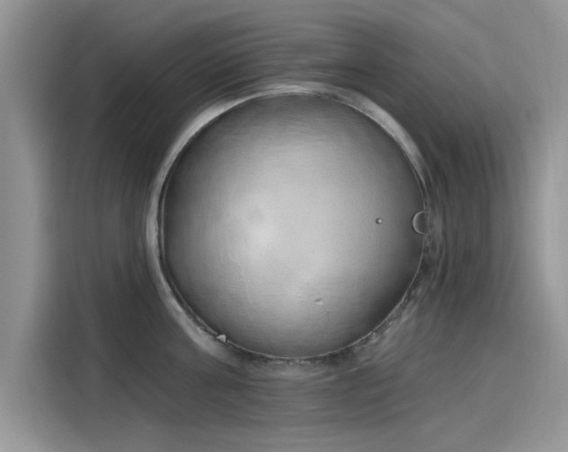 X0000116110811200911301122