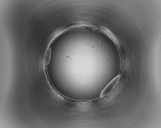 X0000116110813200911301121