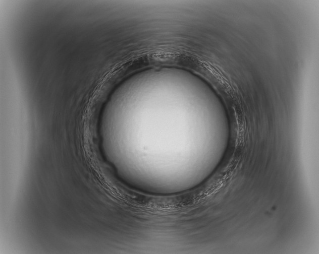 X0000116110817200911301121