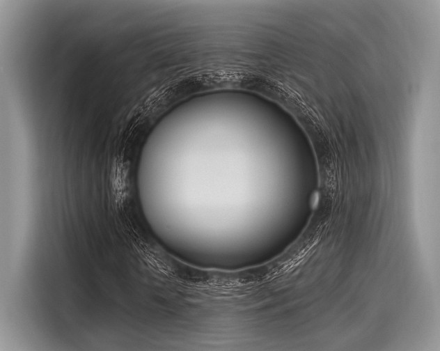 X0000116110818200911301121