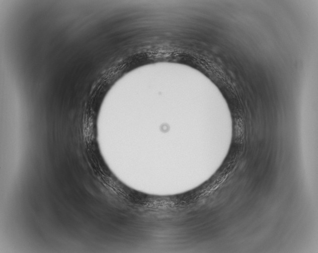 X0000116110820200911301121