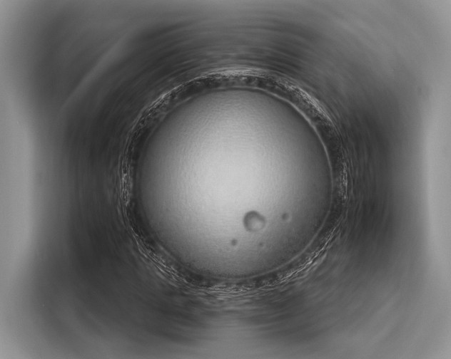 X0000116110821200911301121