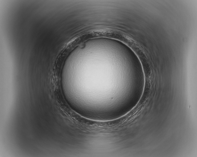 X0000116110822200911301121