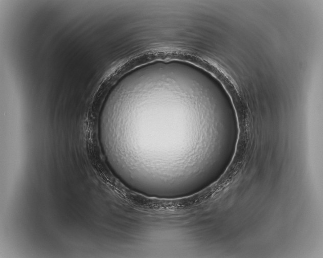 X0000116110823200911301121