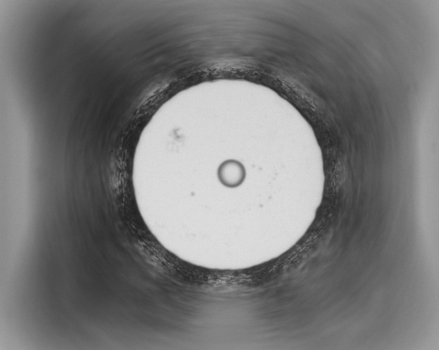 X0000116110824200911301121