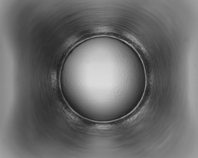 X0000116110825200911301121