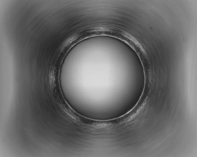 X0000116110826200911301121