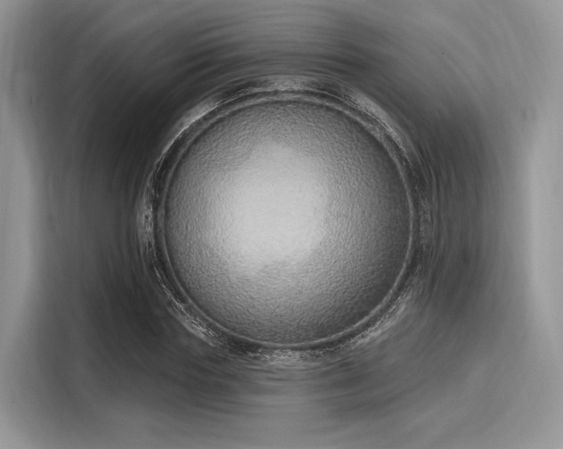 X0000116110827200911301121