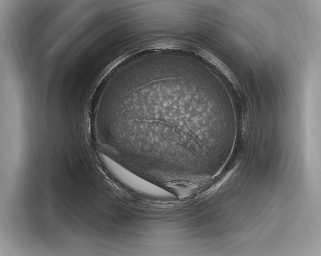 X0000116110829200911301121