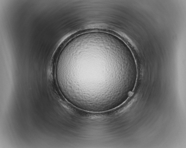 X0000116110830200911301121