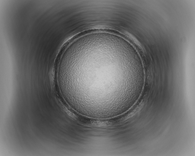 X0000116110831200911301121