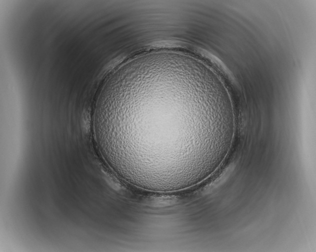 X0000116110833200911301121